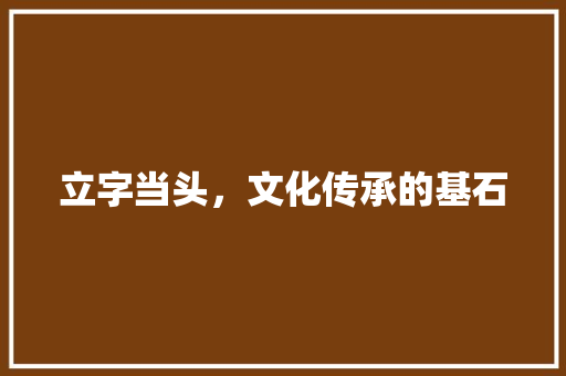 立字当头，文化传承的基石