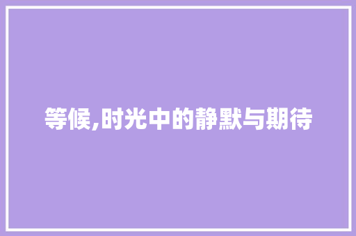 等候,时光中的静默与期待
