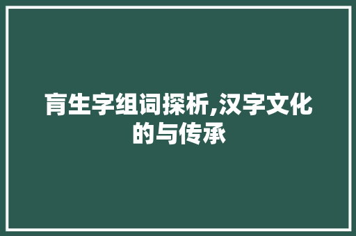 肓生字组词探析,汉字文化的与传承