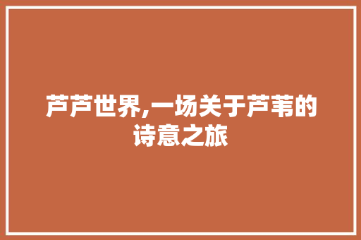 芦芦世界,一场关于芦苇的诗意之旅