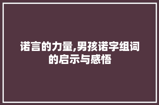 诺言的力量,男孩诺字组词的启示与感悟