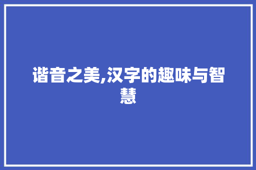 谐音之美,汉字的趣味与智慧