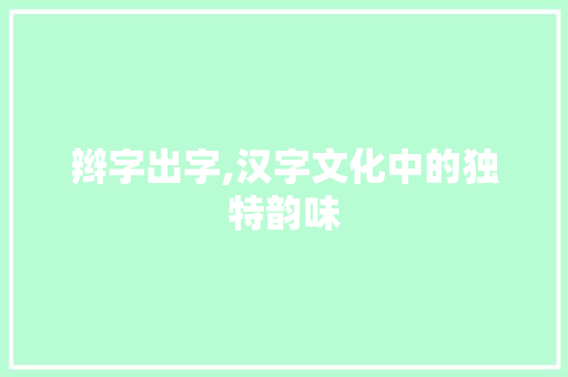 辫字出字,汉字文化中的独特韵味