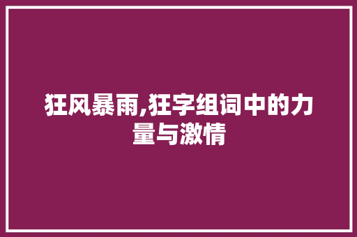 狂风暴雨,狂字组词中的力量与激情