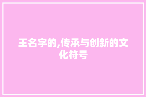 王名字的,传承与创新的文化符号
