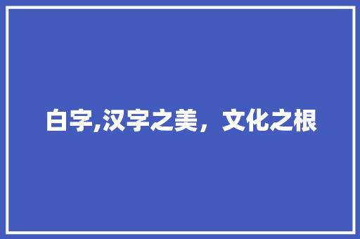 白字,汉字之美，文化之根