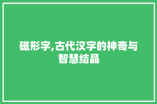 磁形字,古代汉字的神奇与智慧结晶