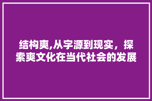 结构爽,从字源到现实，探索爽文化在当代社会的发展与影响