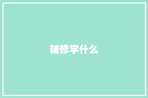辅修学什么