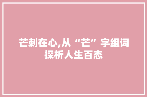 芒刺在心,从“芒”字组词探析人生百态