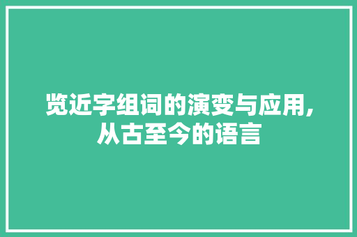 览近字组词的演变与应用,从古至今的语言