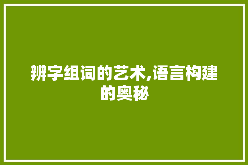 辨字组词的艺术,语言构建的奥秘