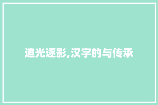 追光逐影,汉字的与传承