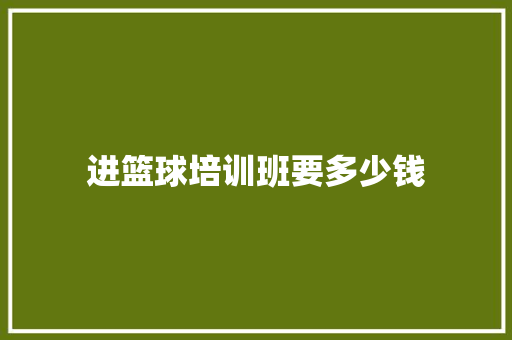 进篮球培训班要多少钱