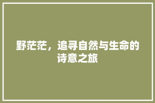 野茫茫，追寻自然与生命的诗意之旅