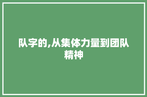 队字的,从集体力量到团队精神