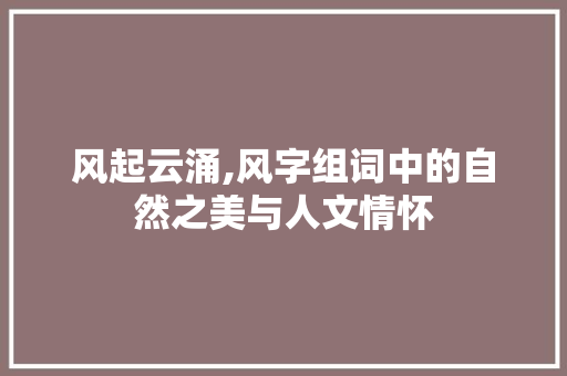 风起云涌,风字组词中的自然之美与人文情怀