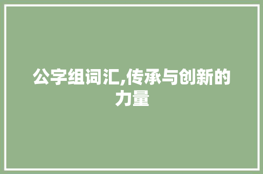 公字组词汇,传承与创新的力量
