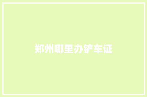 郑州哪里办铲车证