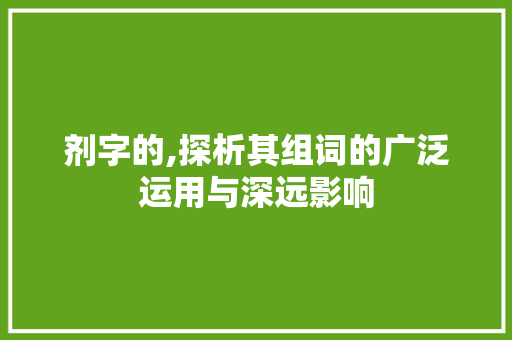 剂字的,探析其组词的广泛运用与深远影响