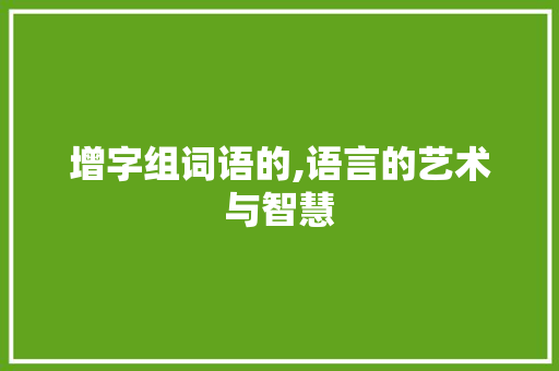 增字组词语的,语言的艺术与智慧