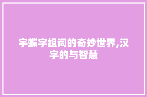 宇蝶字组词的奇妙世界,汉字的与智慧