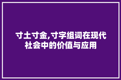 寸土寸金,寸字组词在现代社会中的价值与应用