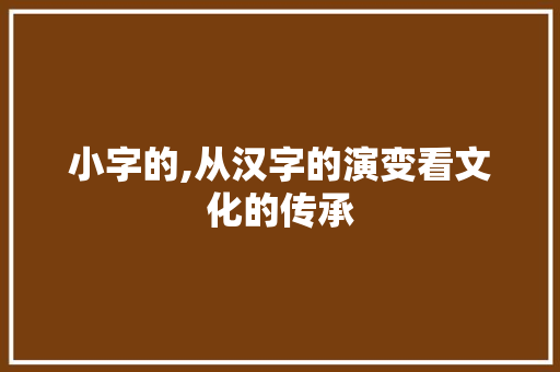 小字的,从汉字的演变看文化的传承
