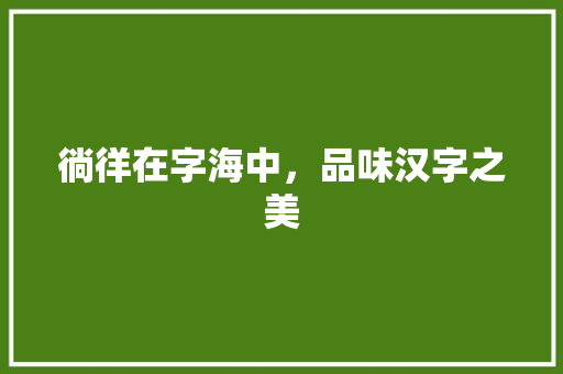 徜徉在字海中，品味汉字之美