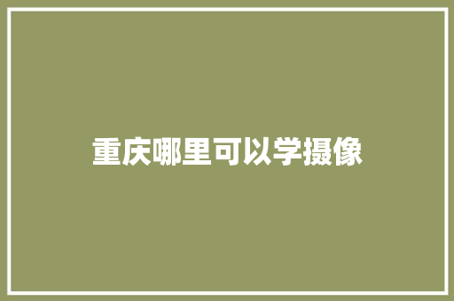重庆哪里可以学摄像