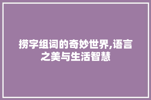 捞字组词的奇妙世界,语言之美与生活智慧