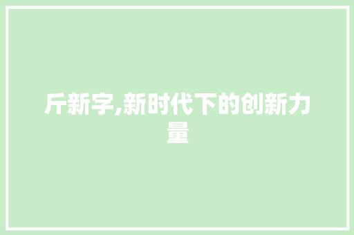 斤新字,新时代下的创新力量