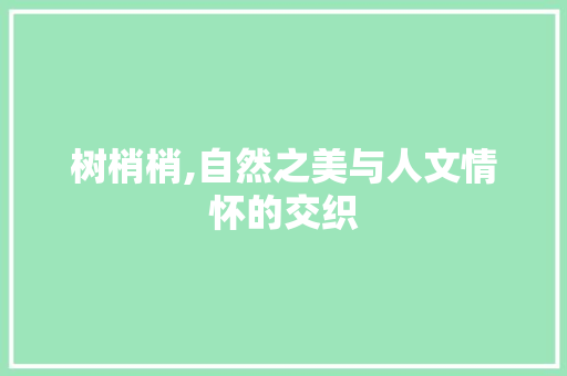 树梢梢,自然之美与人文情怀的交织