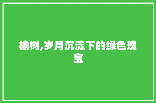 榆树,岁月沉淀下的绿色瑰宝
