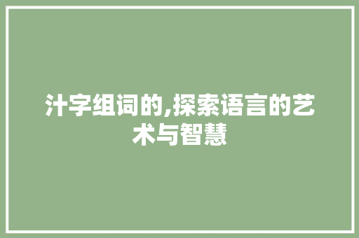 汁字组词的,探索语言的艺术与智慧