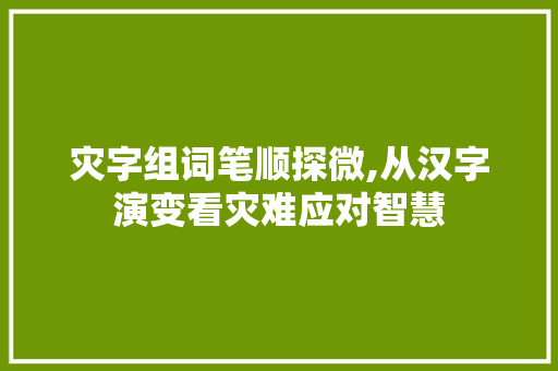 灾字组词笔顺探微,从汉字演变看灾难应对智慧