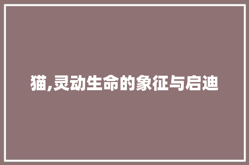 猫,灵动生命的象征与启迪