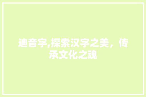 迪音字,探索汉字之美，传承文化之魂