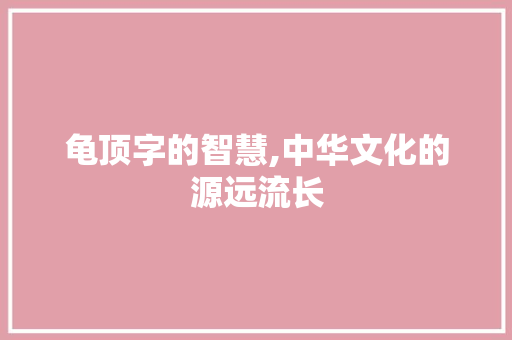 龟顶字的智慧,中华文化的源远流长