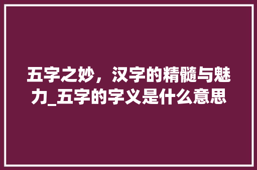 五字之妙，汉字的精髓与魅力_五字的字义是什么意思