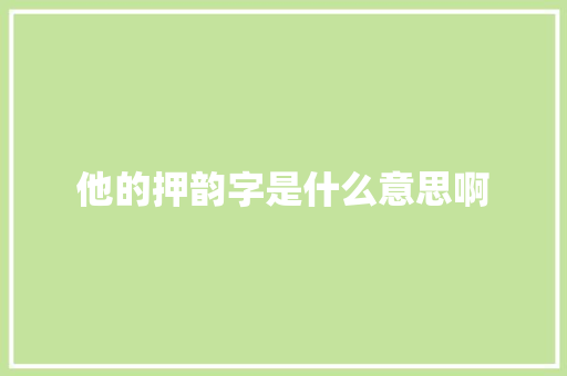 他的押韵字是什么意思啊