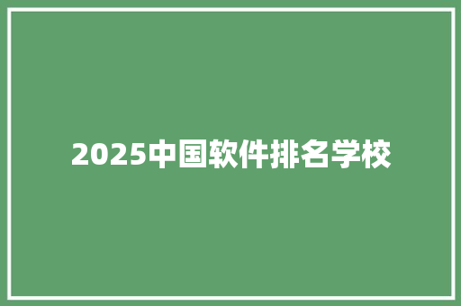 2025中国软件排名学校