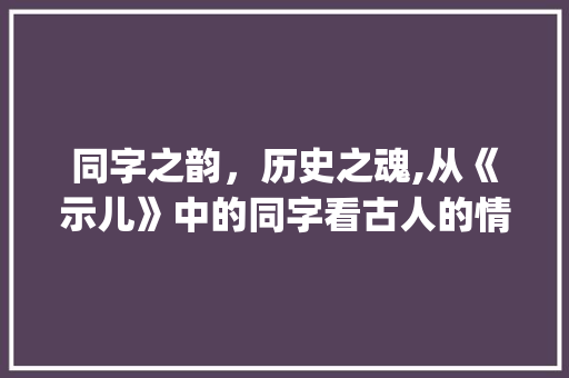 同字之韵，历史之魂,从《示儿》中的同字看古人的情感与智慧_示儿里的同字什么意思