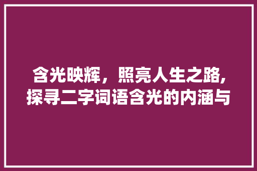 含光映辉，照亮人生之路,探寻二字词语含光的内涵与价值_含光的意思的二字词语