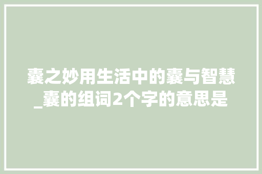 囊之妙用生活中的囊与智慧_囊的组词2个字的意思是