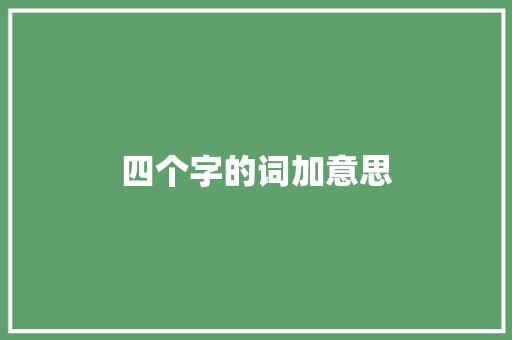 四个字的词加意思