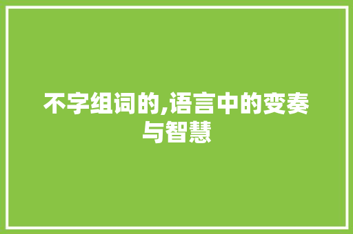 不字组词的,语言中的变奏与智慧