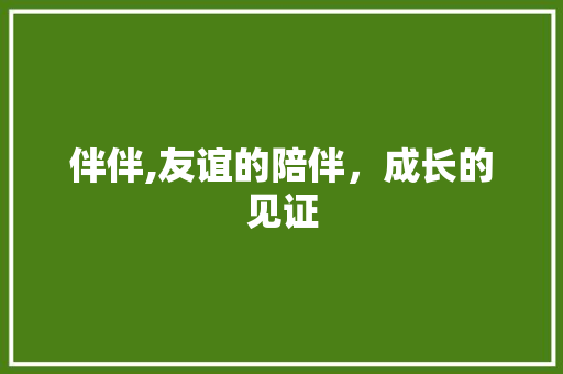 伴伴,友谊的陪伴，成长的见证