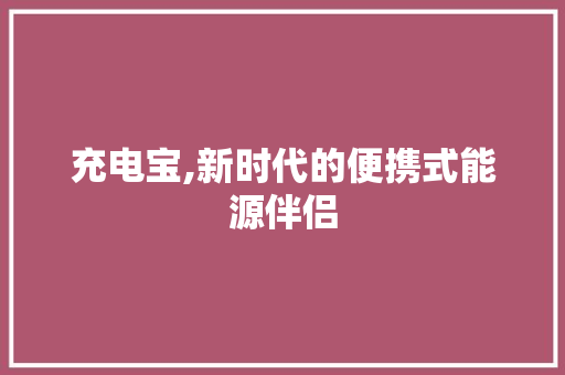 充电宝,新时代的便携式能源伴侣