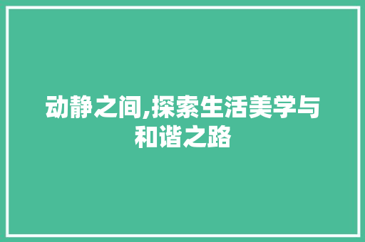 动静之间,探索生活美学与和谐之路